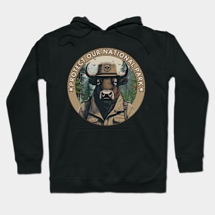 PROTECT OUR NATIONAL PARK Hoodie